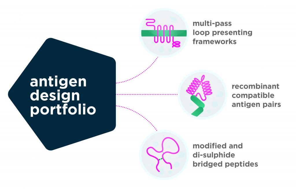 Antigen Design Portfolio
