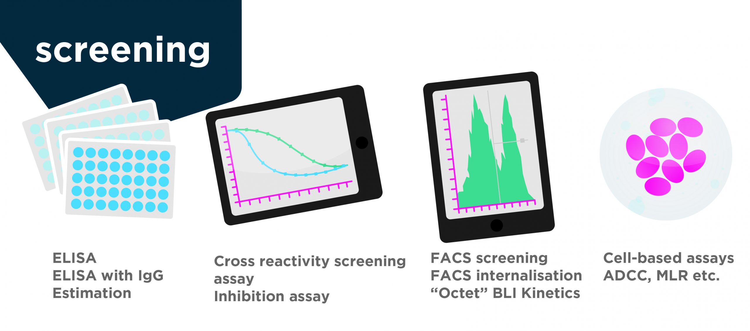 Antibody screening