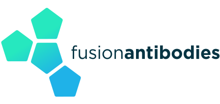 Fusion Antibodies